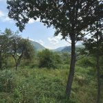 Історичний маршрут